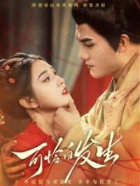 �����׷���