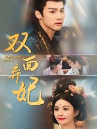 ˫������