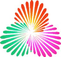 ȫ�˻�Ů���ʸ��� A��-�½�50.110�Ĵ�20250815