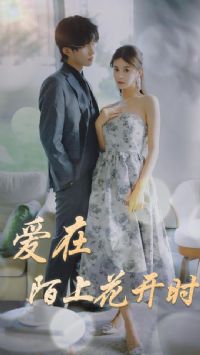 ����İ�ϻ���ʱ