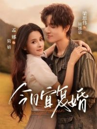 �����˸���