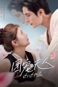 �ų����������